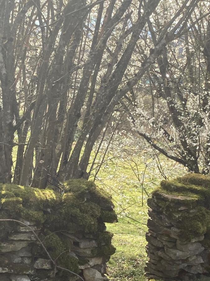 Villa Le Jardin De Theleme "Charme Discret Pour Un Nid Douillet" Mazille Exterior foto